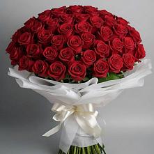 Букет 101 Красная роза Блэк Мэджик в Панковке