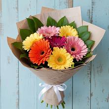 Букет цветов из:  Герберы в Панковке