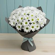 Букет цветов из:  Хризантемы в Панковке