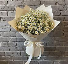 Букет цветов из:  Ромашки #REPLACE_PRED# Панковке