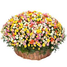 Премиум букет из: Розы #REPLACE_PRED# Панковке