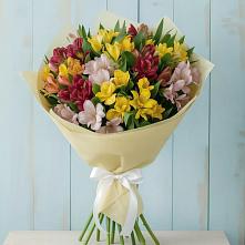 Букет цветов из:  Альстромерии #REPLACE_PRED# Панковке