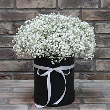 Цветочная композиция из Гипсофила в шляпной коробке в Панковке