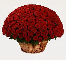 Премиум букет из: Розы в Панковке