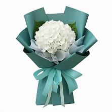 Букет цветов из:  Гортензия #REPLACE_PRED# Панковке